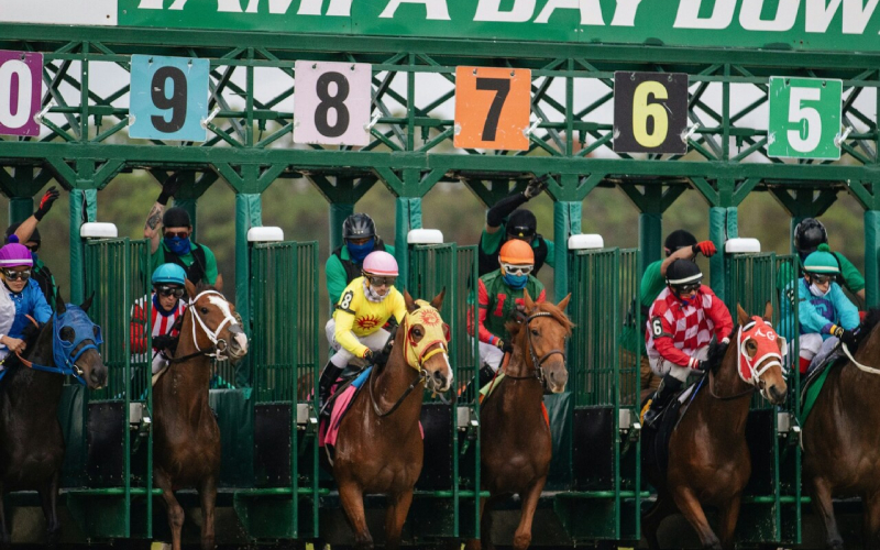 Carreras de caballos