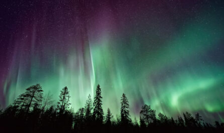 Auroras boreales