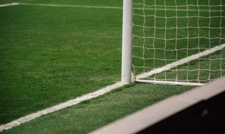 Campo de fútbol