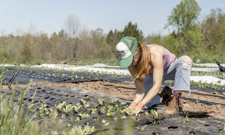 Agricultora
