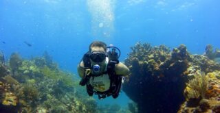 Sangrar oración Doncella Los mejores lugares para bucear, hacer submarinismo y snorkel en Canarias -  cabtfe.es